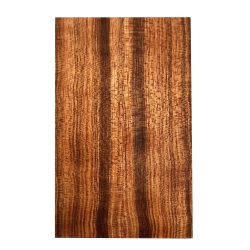 Bodo Etimoe okładki 13x45x130mm BEFS4