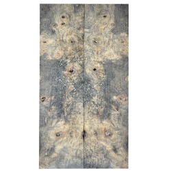 Drewno stabilizowane Buckeye Burl czeczot okładki 9x52x200mm SBSC94