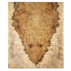 Drewno stabilizowane Amboina czeczot biel okładki 9x55x130mm SABSC6