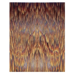 Andira Angelim Rhode Kabbes okładki 10x48x140mm