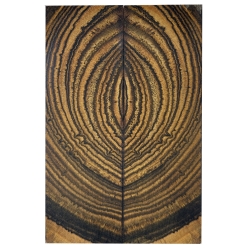 Drewno Egzotyczne BOCOTE okładki crosscut 10x48x130mm