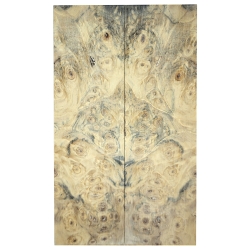 Drewno stabilizowane Buckeye Burl czeczot okładki 8x52x188mm SBSC_71