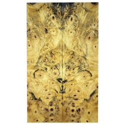 Drewno stabilizowane Buckeye Burl czeczot okładki 8x52x188mm SBSC_71