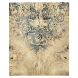 Drewno stabilizowane Buckeye Burl czeczot okładki 8x54x131mm SBSC_72