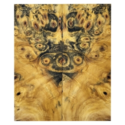 Drewno stabilizowane Buckeye Burl czeczot okładki 8x54x131mm SBSC_72