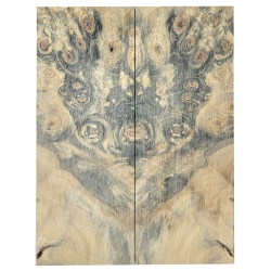 Drewno stabilizowane Buckeye Burl czeczot okładki 8x54x141mm SBSC_74