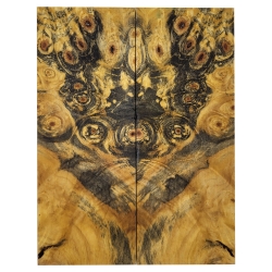 Drewno stabilizowane Buckeye Burl czeczot okładki 8x54x141mm SBSC_74