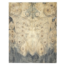 Drewno stabilizowane Buckeye Burl czeczot okładki 8x54x136mm SBSC_76