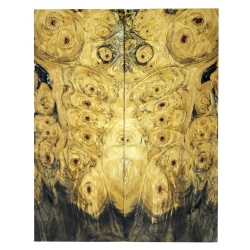 Drewno stabilizowane Buckeye Burl czeczot okładki 8x54x136mm SBSC_76
