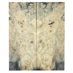 Drewno stabilizowane Buckeye Burl czeczot okładki 8x54x132mm SBSC_79