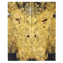 Drewno stabilizowane Buckeye Burl czeczot okładki 8x54x132mm SBSC_79