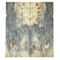 Drewno stabilizowane Buckeye Burl czeczot okładki 8x52x125mm SBSC_80
