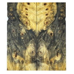 Drewno stabilizowane Buckeye Burl czeczot okładki 8x52x125mm SBSC_80