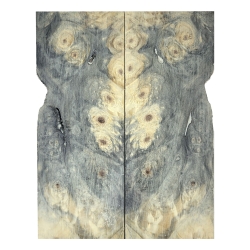 Drewno stabilizowane Buckeye Burl czeczot okładki 8x52x135mm SBSC83