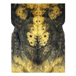 Drewno stabilizowane Buckeye Burl czeczot okładki 8x52x135mm SBSC83