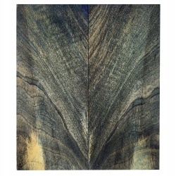 Drewno stabilizowane Buckeye Burl czeczot okładki 8x55x129mm SBSC46