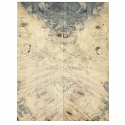 Drewno stabilizowane Buckeye Burl czeczot okładki 10x46x123mm SBSC63