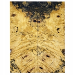 Drewno stabilizowane Buckeye Burl czeczot okładki 10x46x123mm SBSC63