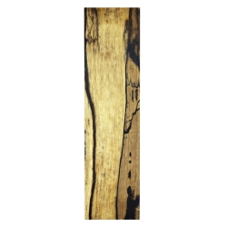 Buk zagrzybiony stabilizowany bloczek 40x50x145mm nr3