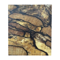 Buk zagrzybiony stabilizowany bloczek 40x50x145mm nr3