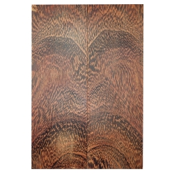 Camel Thorn Giraffe Thorn okładki 7x50x150mm