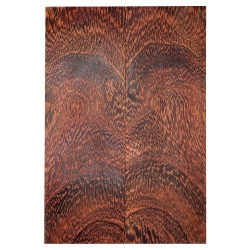 Camel Thorn Giraffe Thorn okładki 7x50x150mm