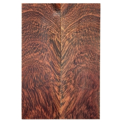 Camel Thorn Giraffe Thorn okładki 7x50x150mm