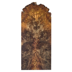 Drewno Chechen Carribean Rosewood czeczot okładki 8x42x180mm CHNBSF13