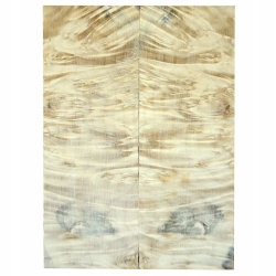 Drewno stabilizowane Klon Jesionolistny czeczot okładki 8x47x135mm SBXSC12