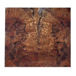 Drewno stabilizowane Platan czeczot zagrzybiony okładki 8x68x130mm SLPBS2