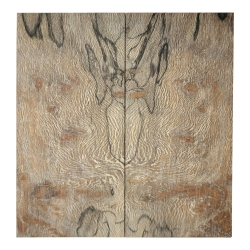 Drewno stabilizowane Platan czeczot zagrzybiony okładki 9x67x143mm SLPBS32