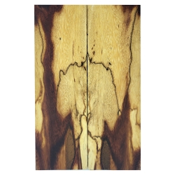 Tamaryndowiec zagrzybiony okładki 9x47x154mm